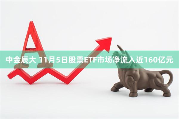 中金辰大 11月5日股票ETF市场净流入近160亿元