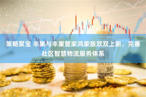 策略聚宝 丰巢与丰巢管家鸿蒙版双双上新，完善社区智慧物流服务体系